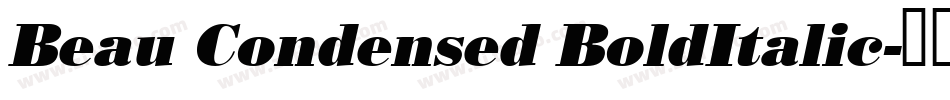 Beau Condensed BoldItalic字体转换